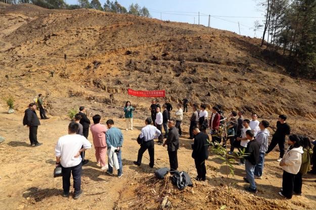 不負春光好，搶播萬畝林 ——將樂縣村企合作造林工作現場會在福建金森召開