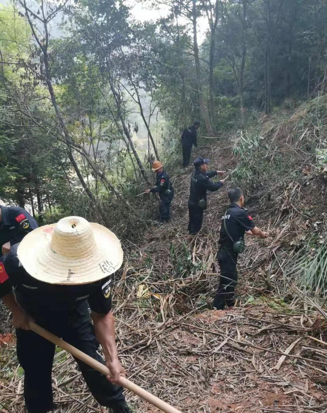 干好每一天|青山掛白我復(fù)綠，無私奉獻(xiàn)金森人——資源保護(hù)部義務(wù)突擊隊(duì)工作記實(shí)