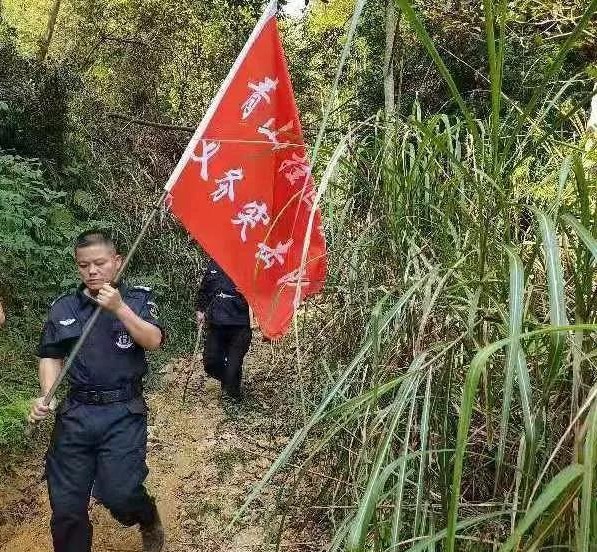 干好每一天|青山掛白我復(fù)綠，無私奉獻(xiàn)金森人——資源保護(hù)部義務(wù)突擊隊(duì)工作記實(shí)