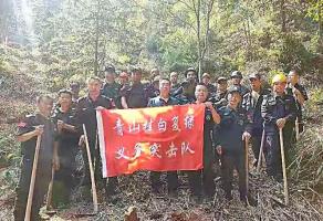 干好每一天|青山掛白我復(fù)綠，無私奉獻金森人——資源保護部義務(wù)突擊隊工作記實